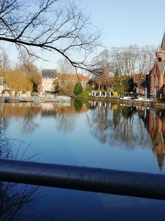 Mooie Zwaantjes Brugge Apartment Bagian luar foto