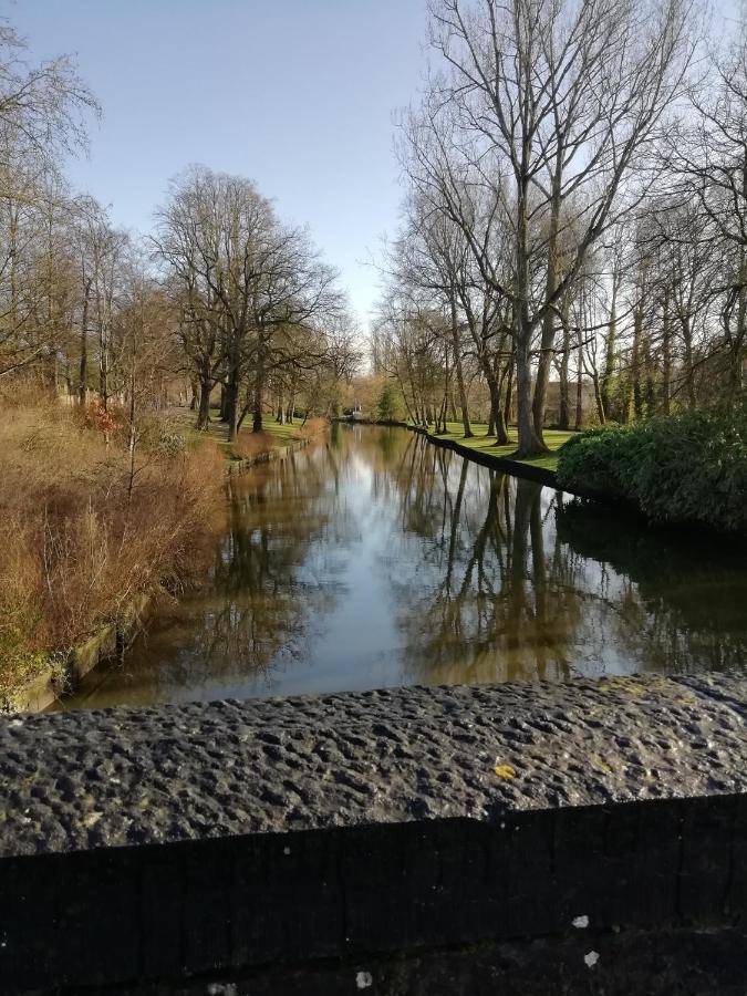 Mooie Zwaantjes Brugge Apartment Bagian luar foto